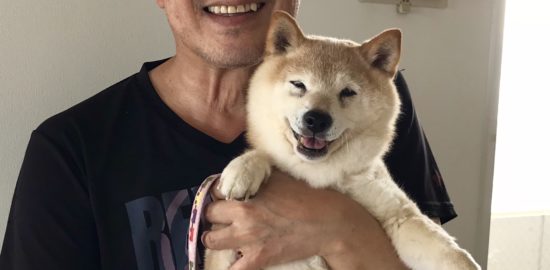「柴犬ランちゃんプロフィール」推定15歳のおばあちゃんです